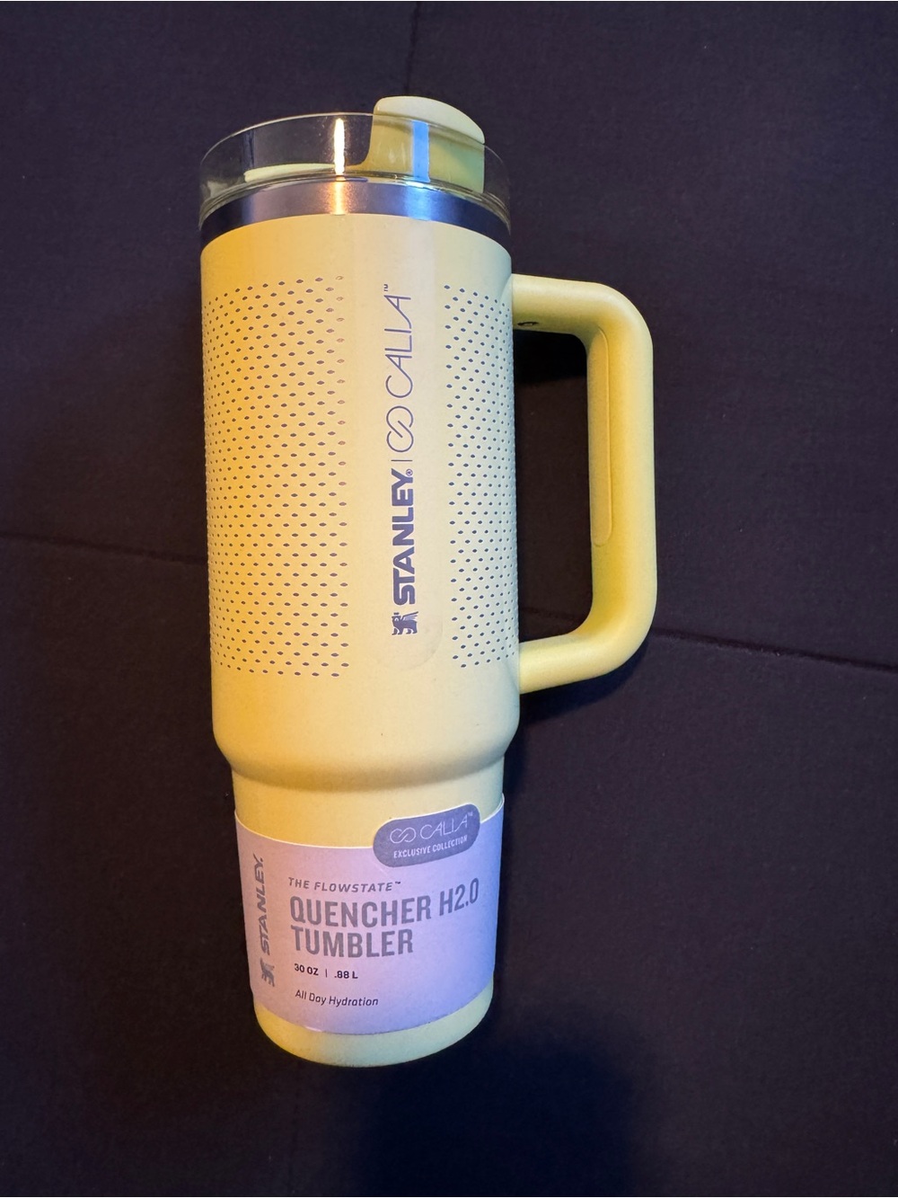 Stanley Quencher H2.0 FlowState tumbler